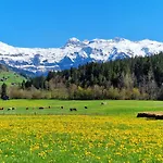 Apartamento Large Deluxe - Lovo Lenk im Simmental