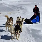Large Deluxe - Lovo Lenk im Simmental