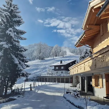 Large Deluxe - Lovo *