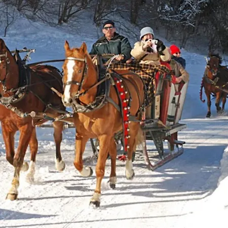 Appartement Large Deluxe - Lovo