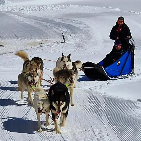 Large Deluxe - Lovo Lenk