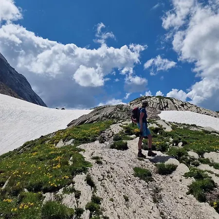 Appartement Large Deluxe - Lovo