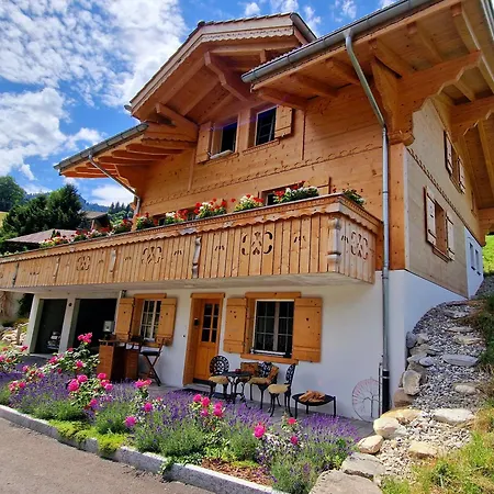 Appartement Large Deluxe - Lovo