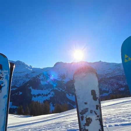 Appartement Large Deluxe - Lovo