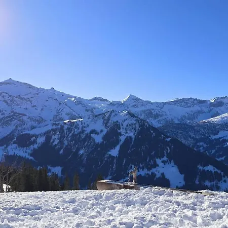 Large Deluxe - Lovo Appartement