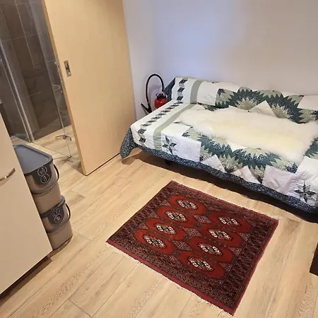 Large Deluxe For 2 - Lovo Apartment Lenk