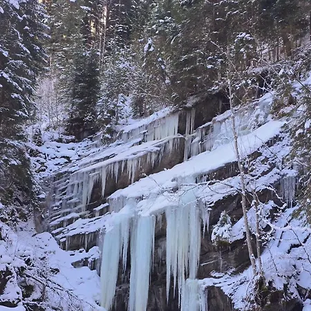 Appartement Large Deluxe - Lovo