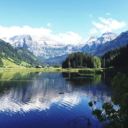 Large Deluxe - Lovo *