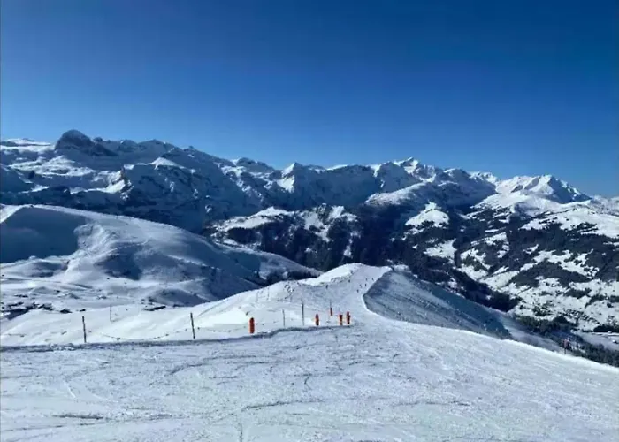 Large Deluxe - Lovo לנק