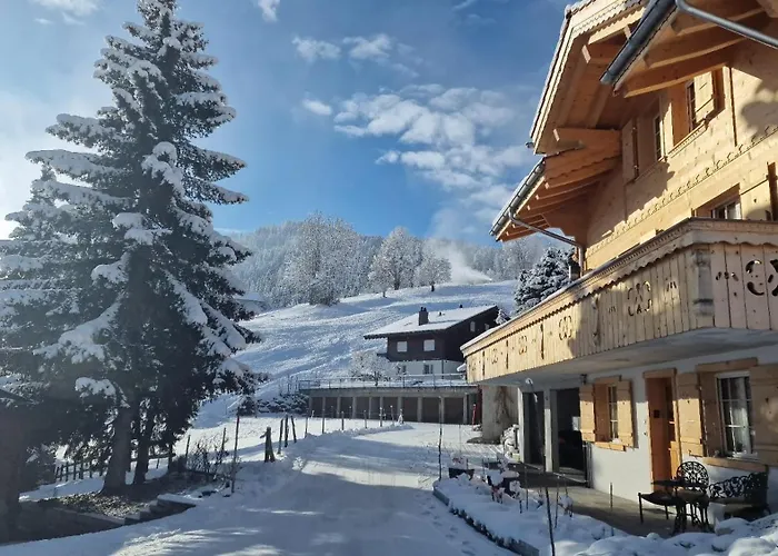 Large Deluxe - Lovo *