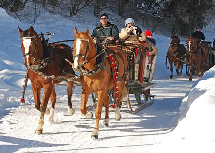 Lejlighed Large Deluxe - Lovo