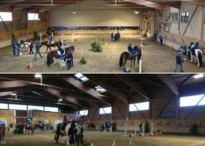 Lejlighed Large Deluxe - Lovo