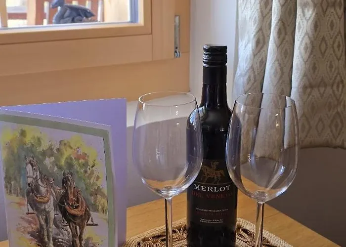 Lejlighed Large Deluxe - Lovo Lenk