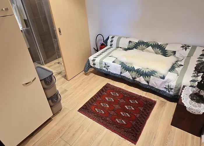 Large Deluxe - Lovo Apartamento Lenk