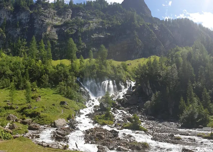 Large Deluxe - Lovo Lenk