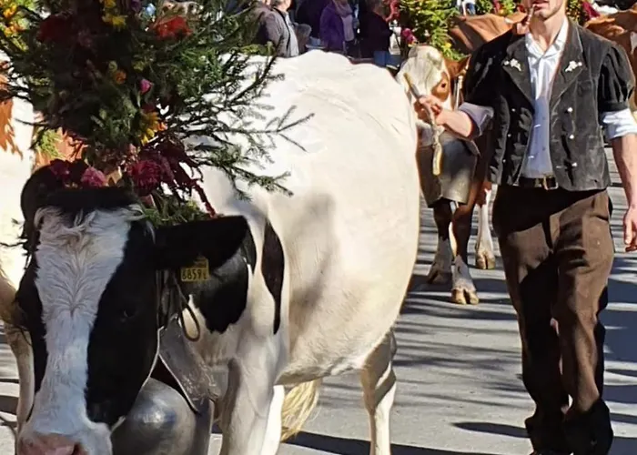 Large Deluxe - Lovo Apartamento