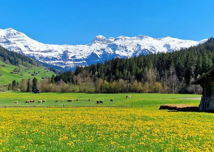 Lejlighed Large Deluxe - Lovo Lenk