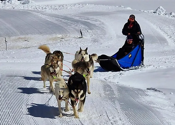 Large Deluxe - Lovo Lenk