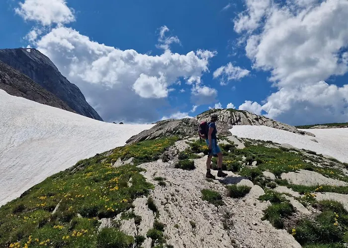 Lejlighed Large Deluxe - Lovo