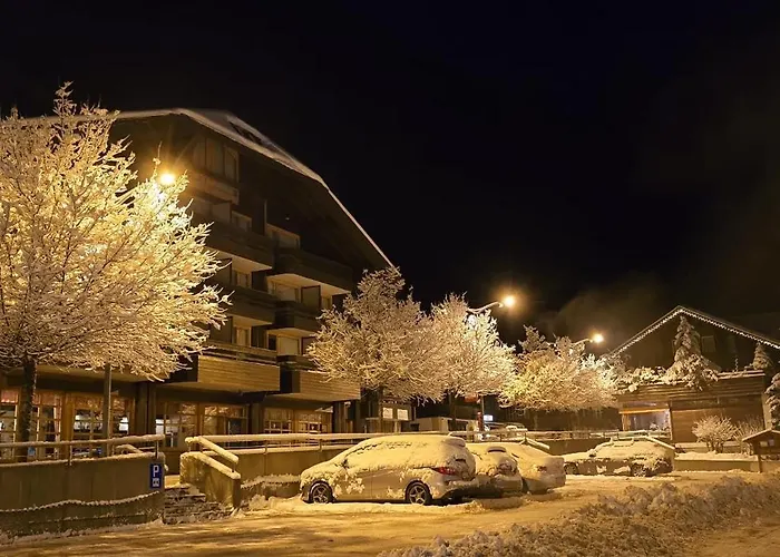 Large Deluxe - Lovo *