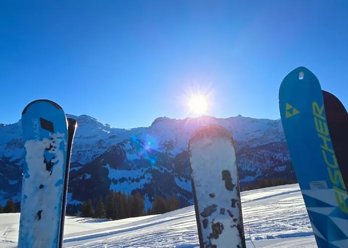 Lejlighed Large Deluxe - Lovo