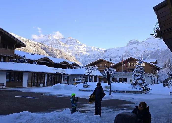 Large Deluxe - Lovo *