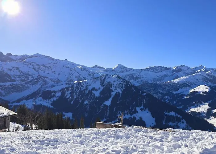 Large Deluxe - Lovo Lejlighed