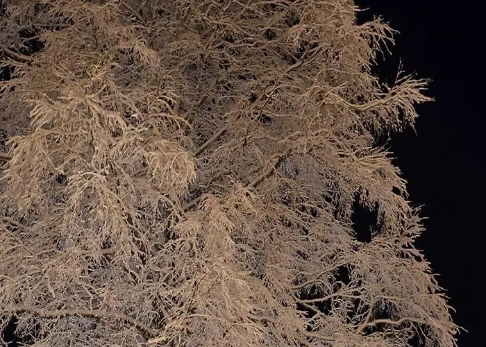 Lejlighed Large Deluxe - Lovo *