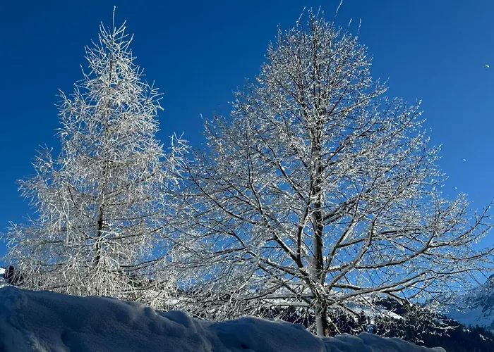 Large Deluxe - Lovo Lejlighed Lenk