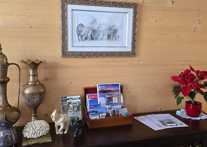 Large Deluxe - Lovo *