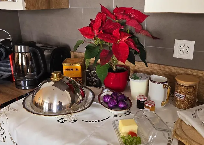 Large Deluxe - Lovo Lejlighed