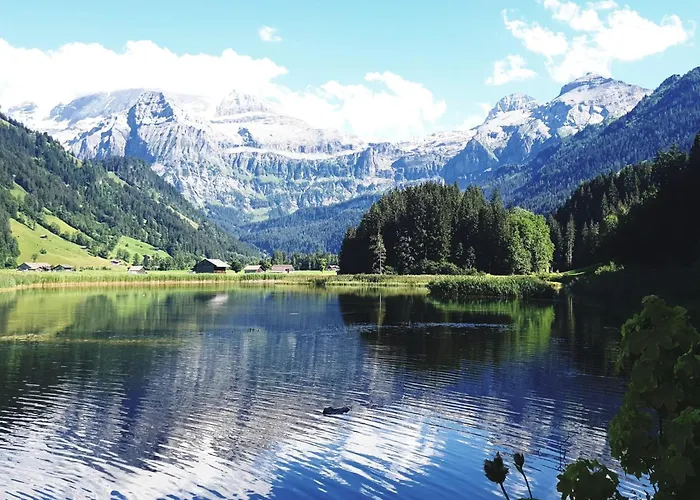 Large Deluxe - Lovo *