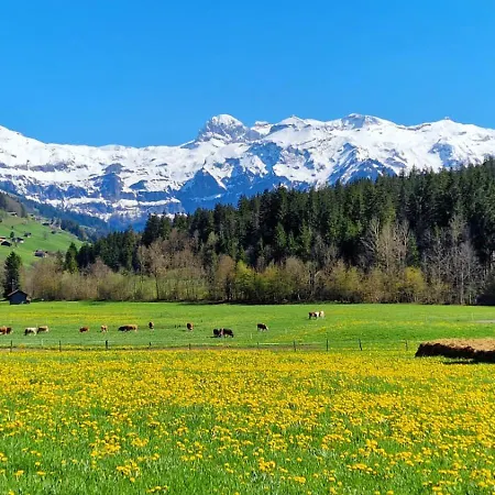 Apartamento Large Deluxe - Lovo Lenk im Simmental